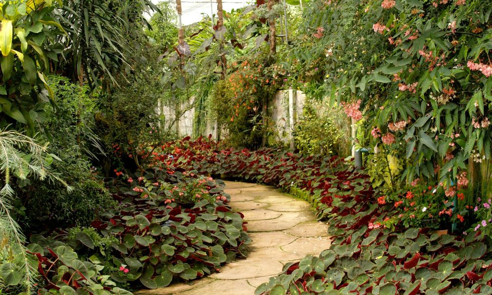 Pathway Garden