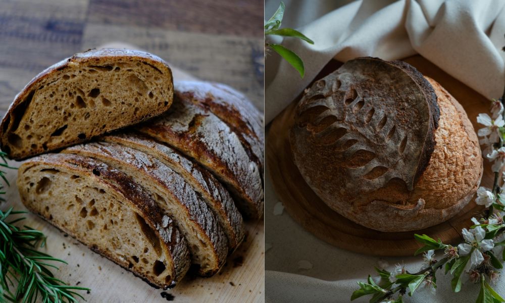 sourdough starter recipe