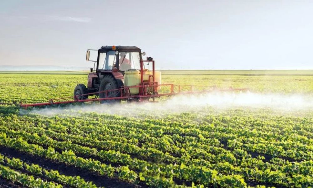 commercial gardening