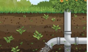garden drainage for Waterlogged soil