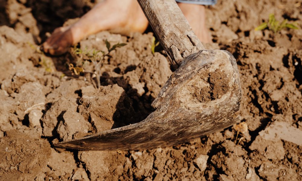 hoe gardening tool